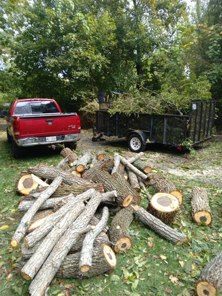 Expert yard maintenance near you in Wading River, NY by Trees Are Us