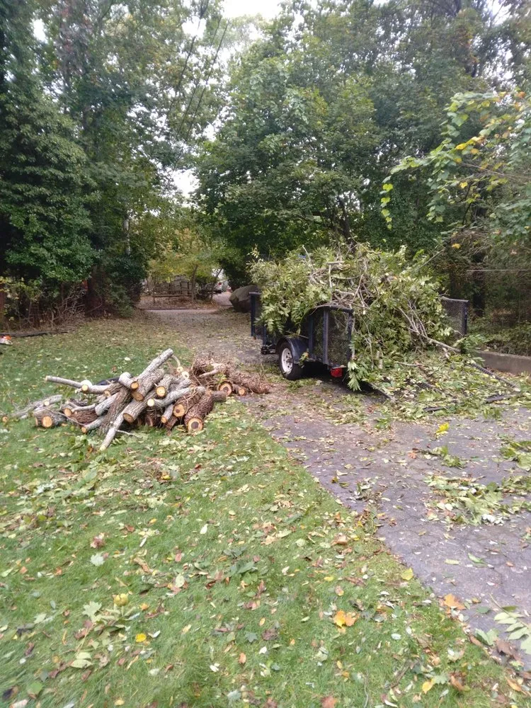 Expert lawn mowing service with custom design in Wading River, NY by Trees Are Us