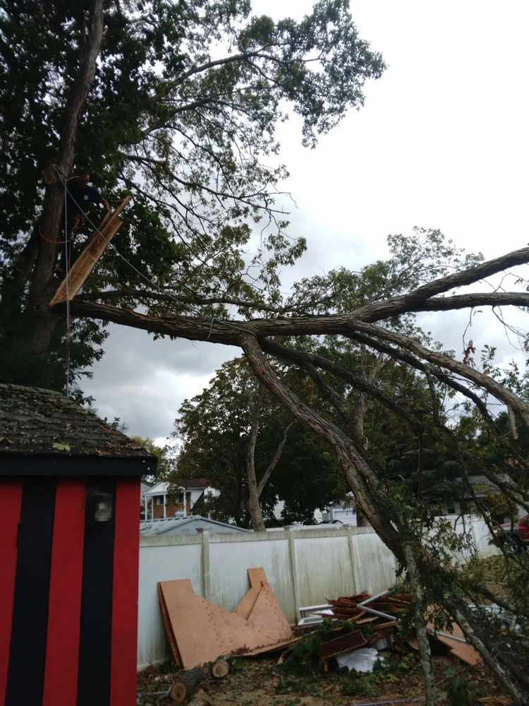 Affordable landscape design near you in Wading River, NY by Trees Are Us