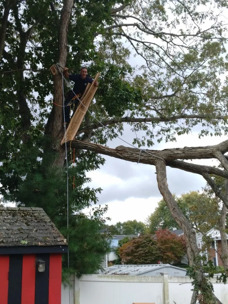 Expert landscape installation for outdoor upgrades in Wading River, NY by Trees Are Us