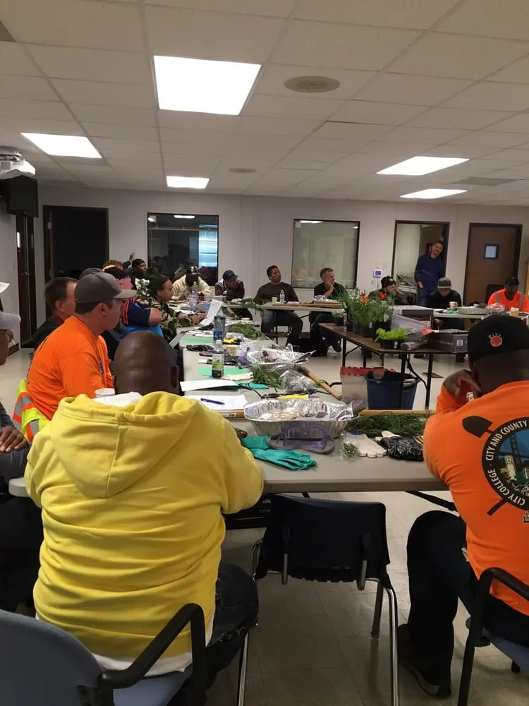 Expert landscape design experts serving Orinda, CA - Trees, Bugs, Dirt