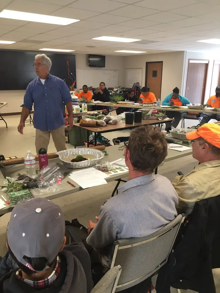 Affordable lawn mowing service near you across Orinda, CA - Trees, Bugs, Dirt