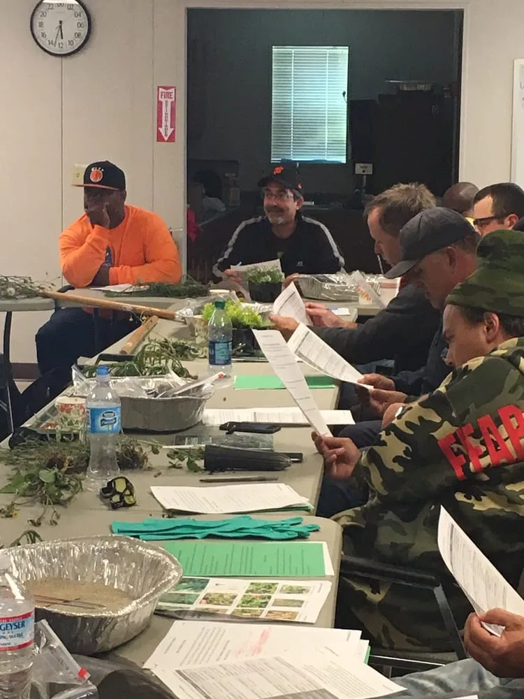 Custom lawn mowing service for outdoor upgrades across Orinda, CA - Trees, Bugs, Dirt