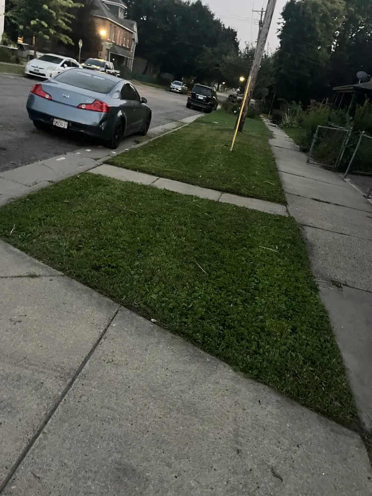 Reliable lawn care service near you across Saint Paul, MN - Trees Care and Landscape