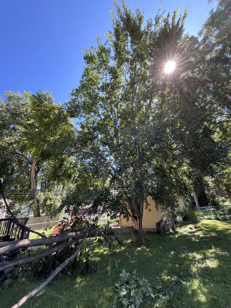 Reliable landscape design with custom design in Saint Paul, MN by Trees Care and Landscape