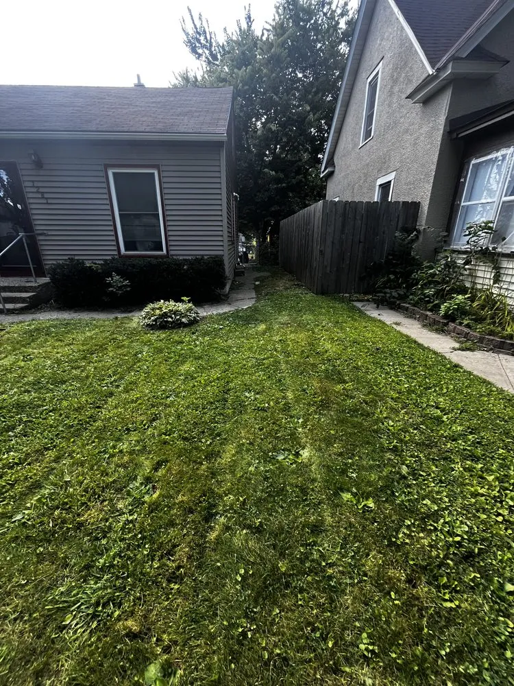 Reliable lawn care service near you across Saint Paul, MN - Trees Care and Landscape