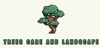 Top-rated yard maintenance for year-round maintenance in Saint Paul, MN by Trees Care and Landscape