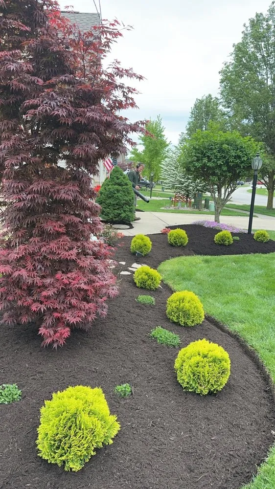 Expert residential landscaping for year-round maintenance across Brunswick, OH - Trees for Change