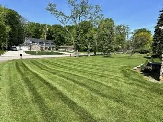 Affordable yard cleanup service for residential properties in Brunswick, OH by Trees for Change