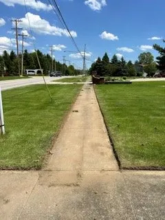 Trusted yard cleanup service experts serving Brunswick, OH - Trees for Change