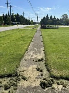 Local residential landscaping in Brunswick, OH by Trees for Change