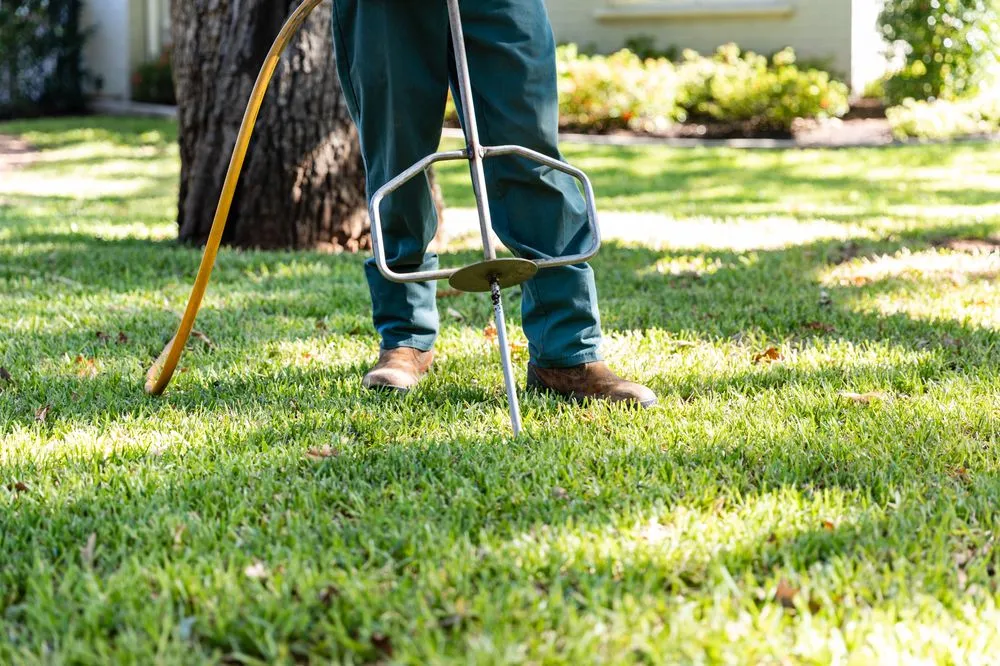 Professional outdoor landscaping in Forest Hill, TX - Trees Hurt Too