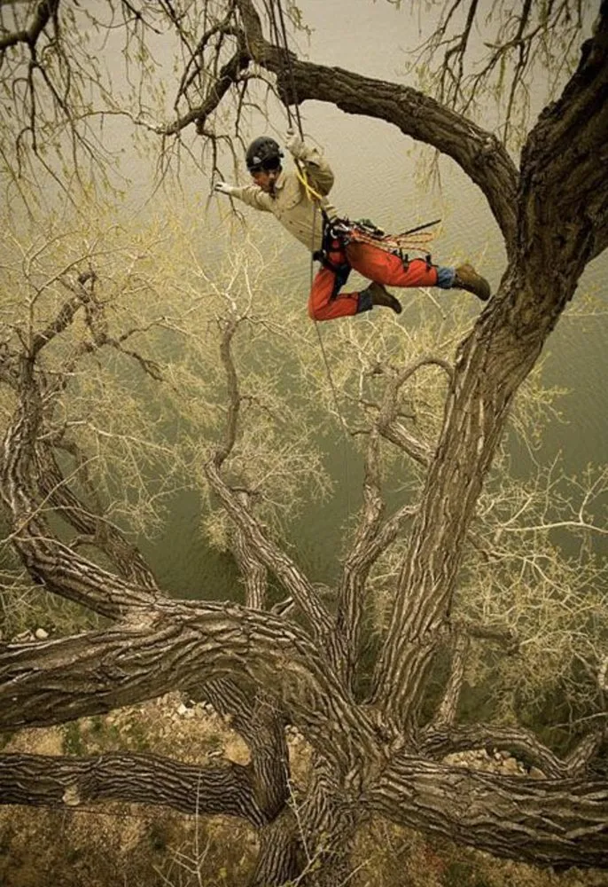 Reliable residential landscaping experts serving Forest Hill, TX - Trees Hurt Too