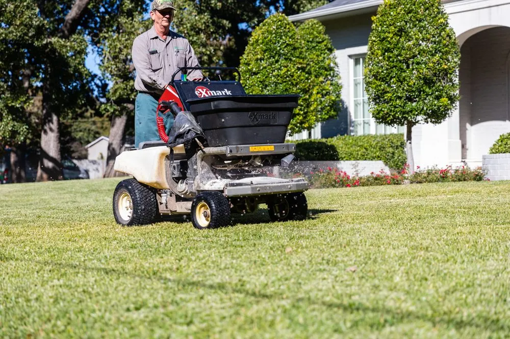Custom garden landscaping for homes across Forest Hill, TX - Trees Hurt Too