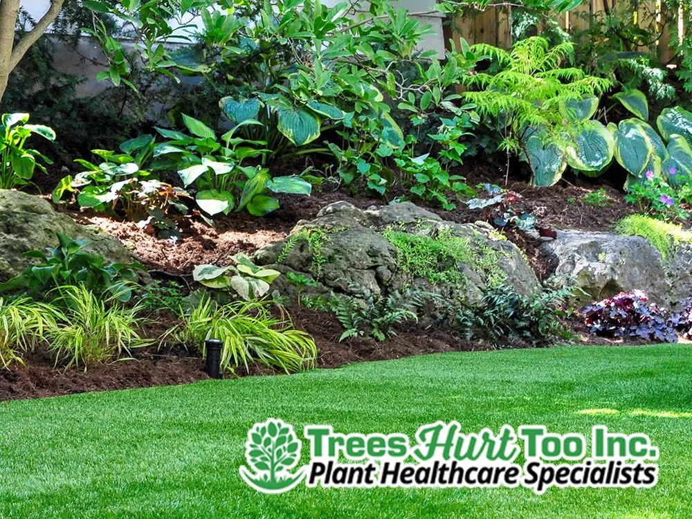 Affordable landscape installation in Forest Hill, TX - Trees Hurt Too