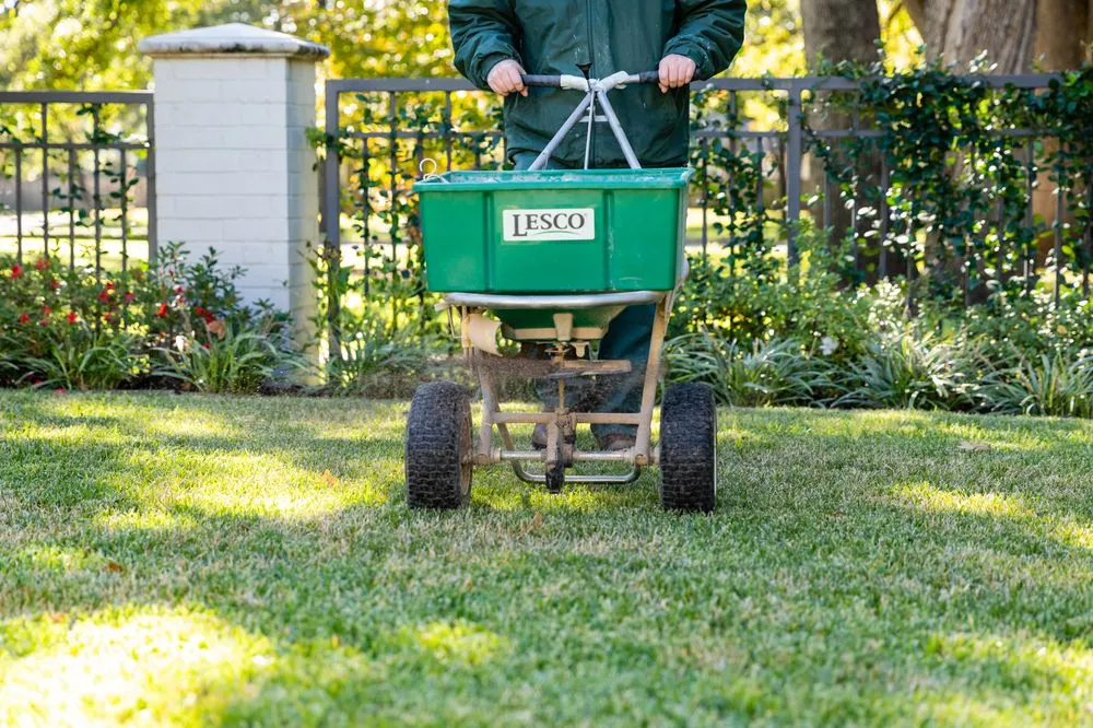 Affordable outdoor landscaping experts serving Forest Hill, TX - Trees Hurt Too