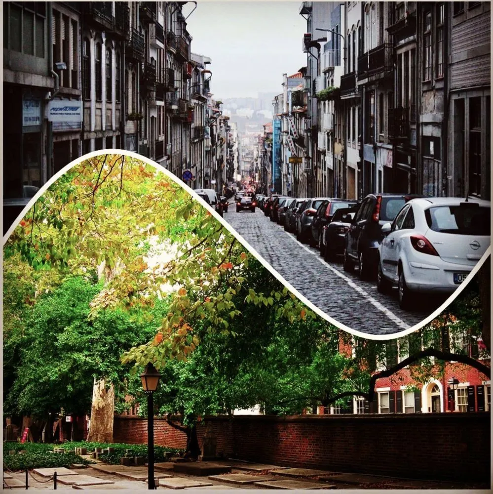 Affordable outdoor landscaping experts serving Forest Hill, TX - Trees Hurt Too