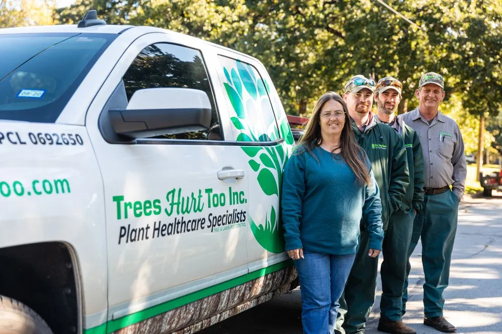 Affordable outdoor landscaping for beautiful yards across Forest Hill, TX - Trees Hurt Too