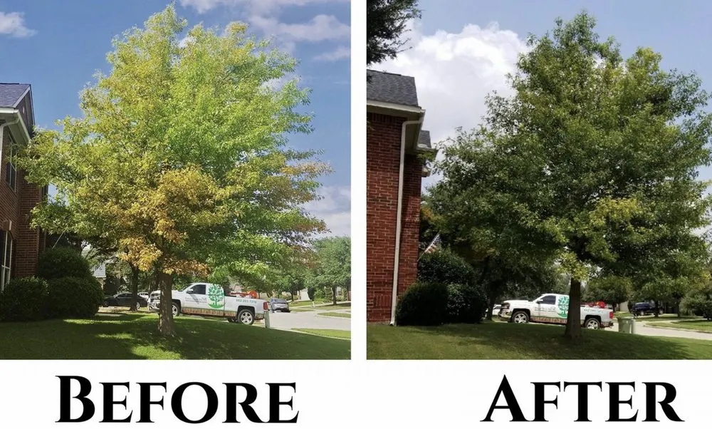 Top-rated garden landscaping near you across Forest Hill, TX - Trees Hurt Too