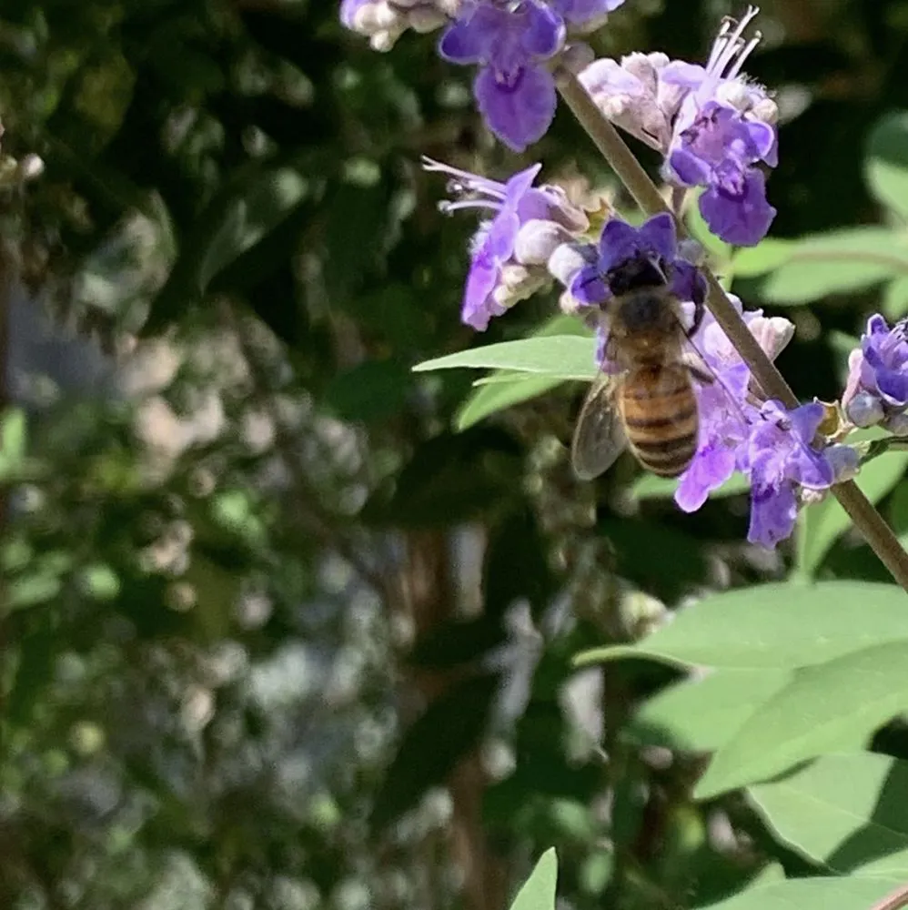 Expert landscape design near you in Forest Hill, TX by Trees Hurt Too