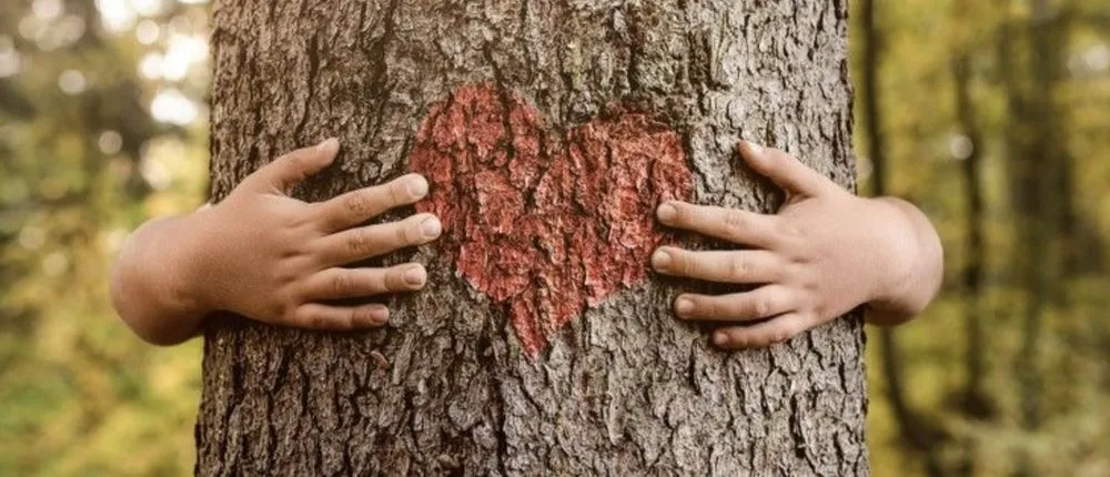 Affordable outdoor landscaping in Forest Hill, TX - Trees Hurt Too