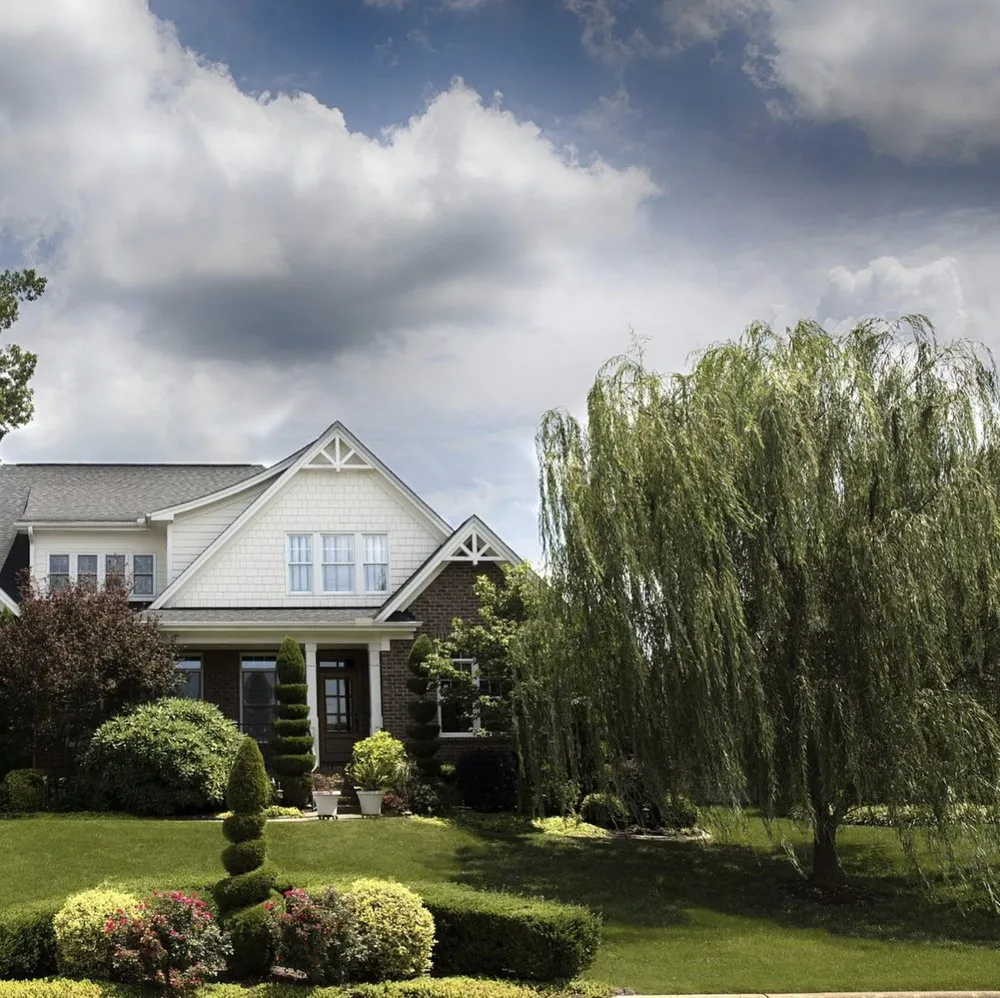 Custom yard cleanup service in Forest Hill, TX - Trees Hurt Too