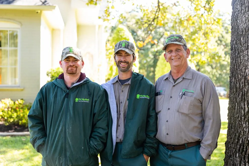 Expert landscape installation in Forest Hill, TX - Trees Hurt Too