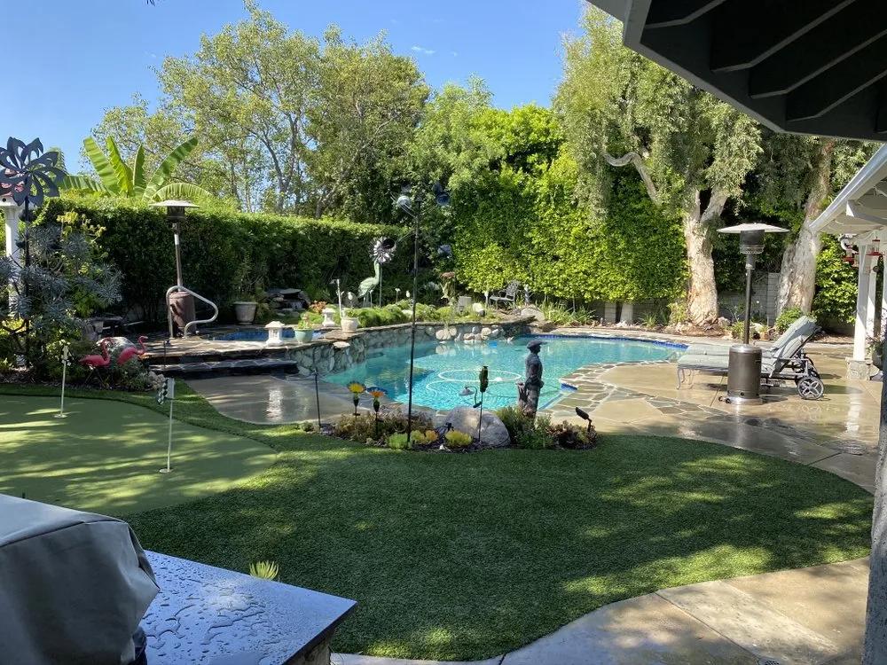 Affordable yard cleanup service in Culver City, CA by Trees Landscape