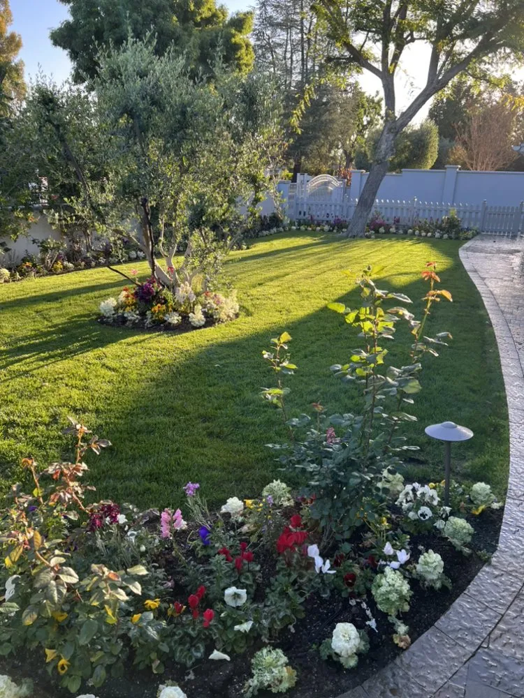 Custom landscape design for outdoor upgrades in Culver City, CA by Trees Landscape