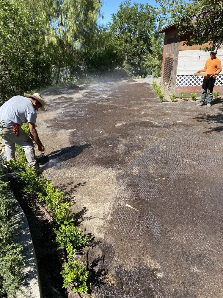 Trusted landscape design experts serving Culver City, CA - Trees Landscape