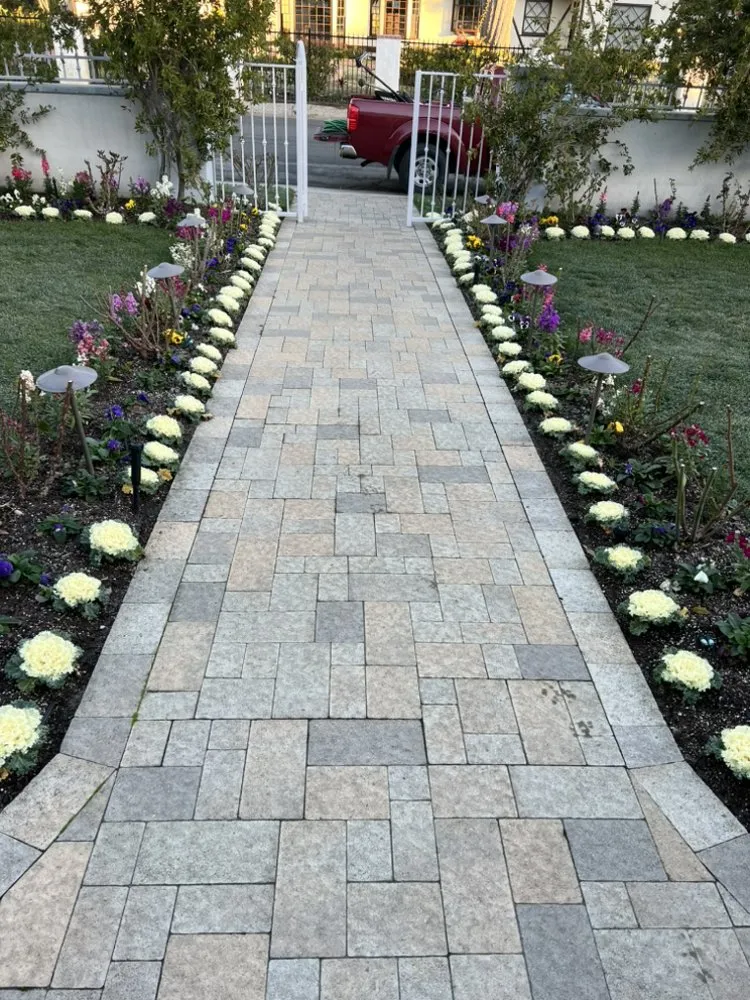 Trusted garden landscaping in Culver City, CA - Trees Landscape