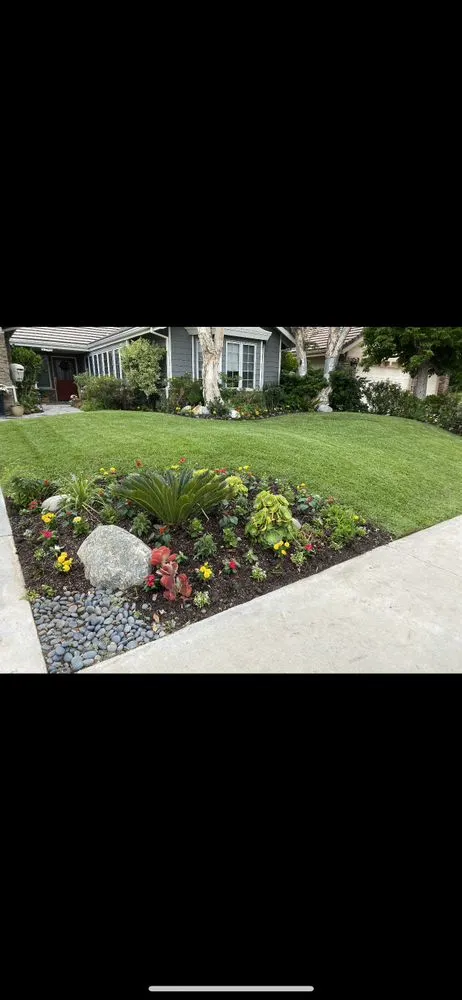 Reliable lawn care service for beautiful yards across Culver City, CA - Trees Landscape