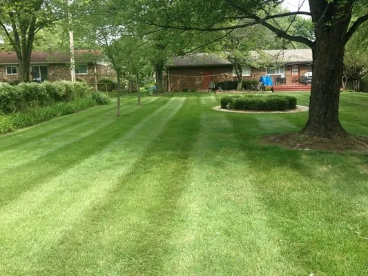 Trees, Lawns & Landscapes