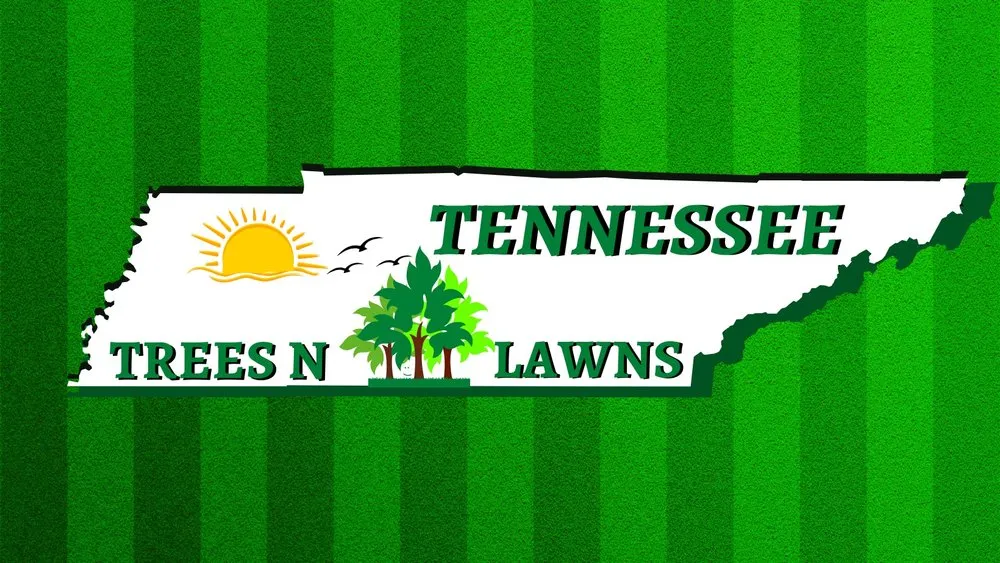 Expert landscape design for outdoor upgrades in Murfreesboro, TN by Trees N Lawns
