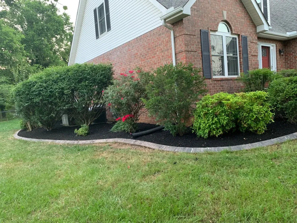 Local lawn mowing service for residential properties in Murfreesboro, TN by Trees N Lawns