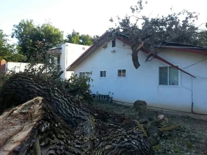 Top-rated landscape design with custom design in Stockton, CA by Trees N More