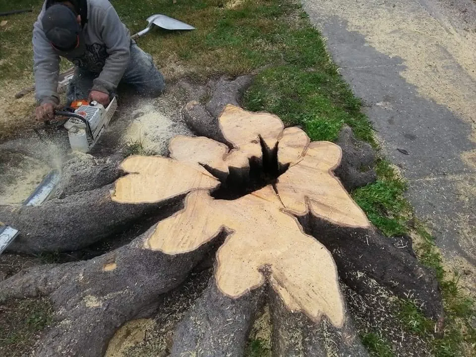 Custom yard maintenance for homes in Stockton, CA by Trees N More