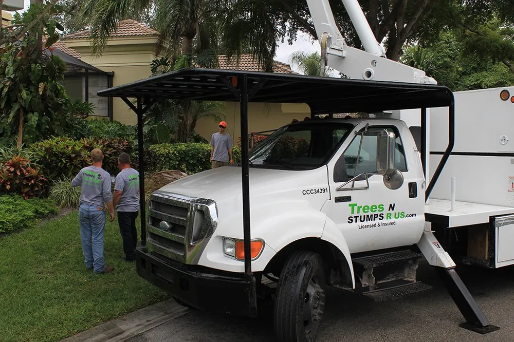 Expert lawn care service experts serving Naples, FL - Trees N Stumps R Us