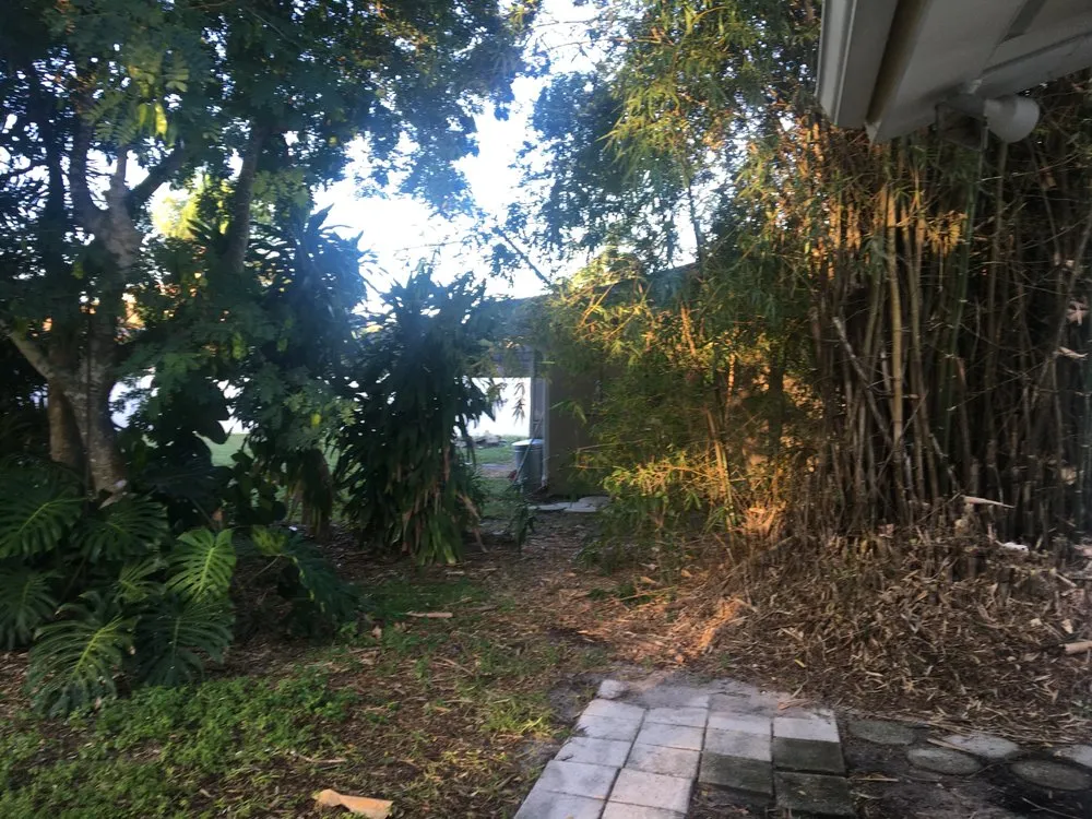 Professional lawn mowing service experts serving Naples, FL - Trees N Stumps R Us