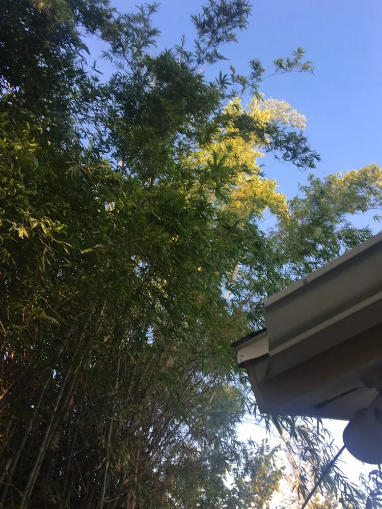 Local landscape installation experts serving Naples, FL - Trees N Stumps R Us