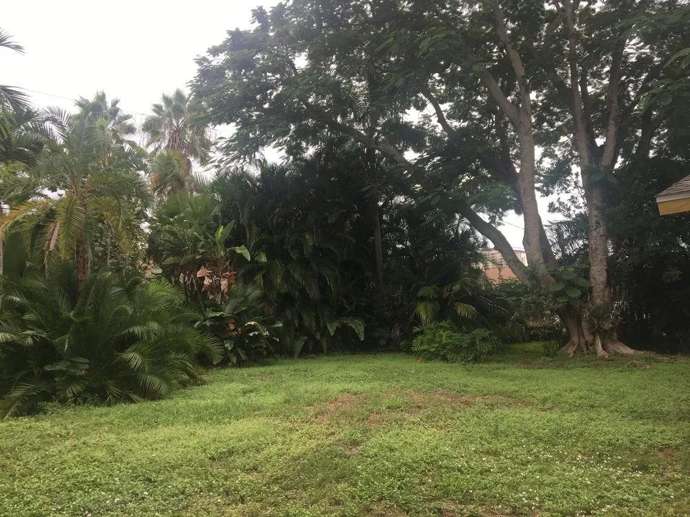 Reliable landscape design in Naples, FL - Trees N Stumps R Us