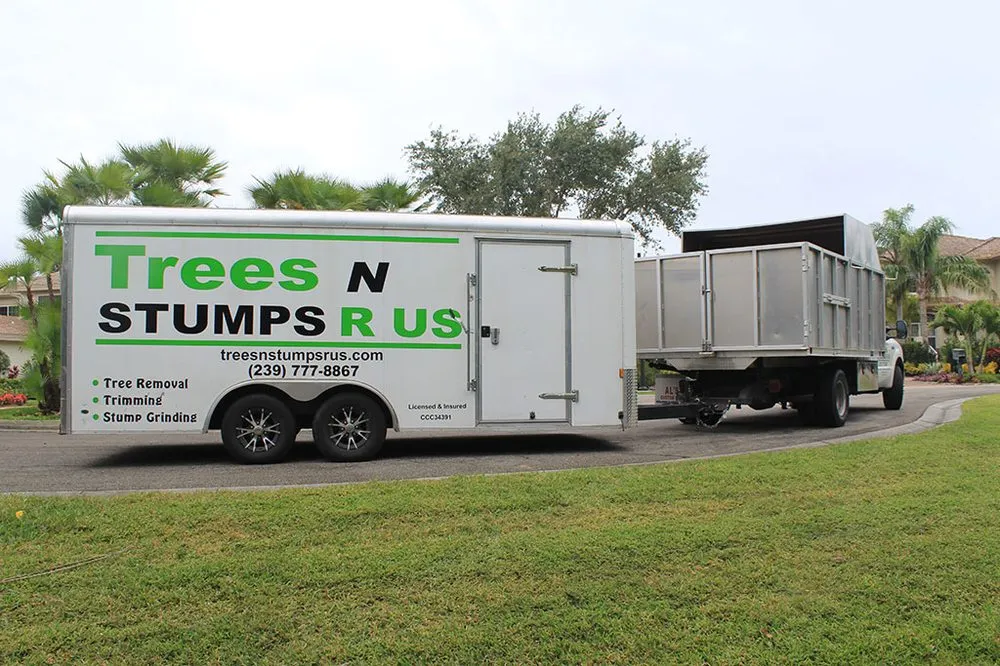Professional landscape installation experts serving Naples, FL - Trees N Stumps R Us
