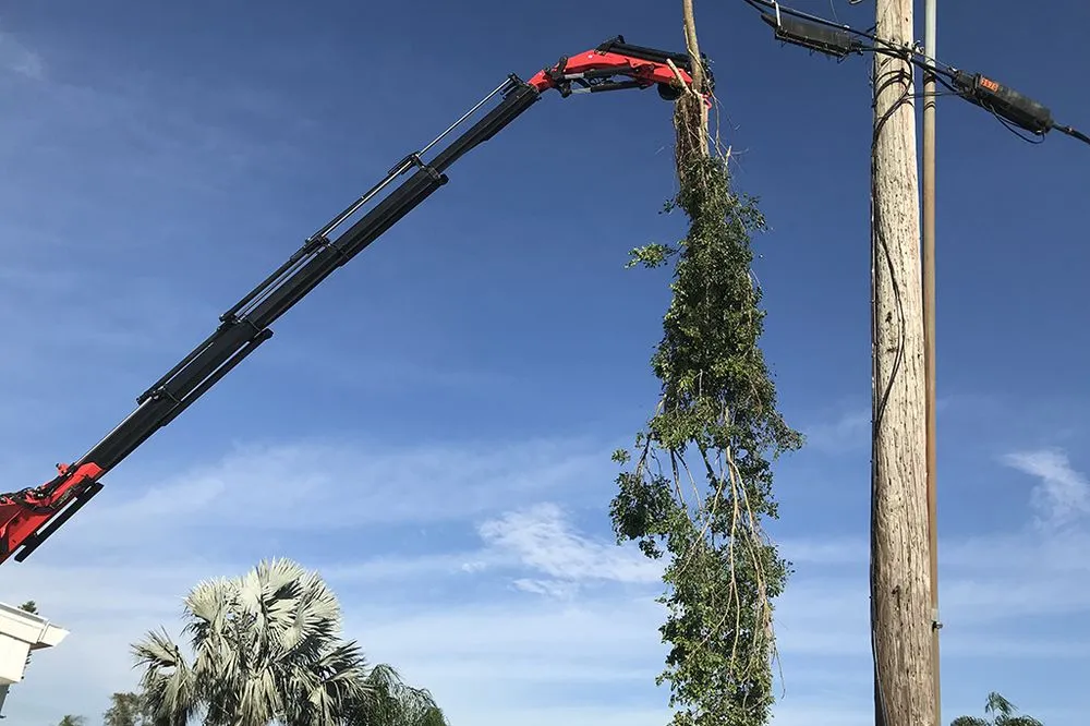 Expert lawn mowing service experts serving Naples, FL - Trees N Stumps R Us