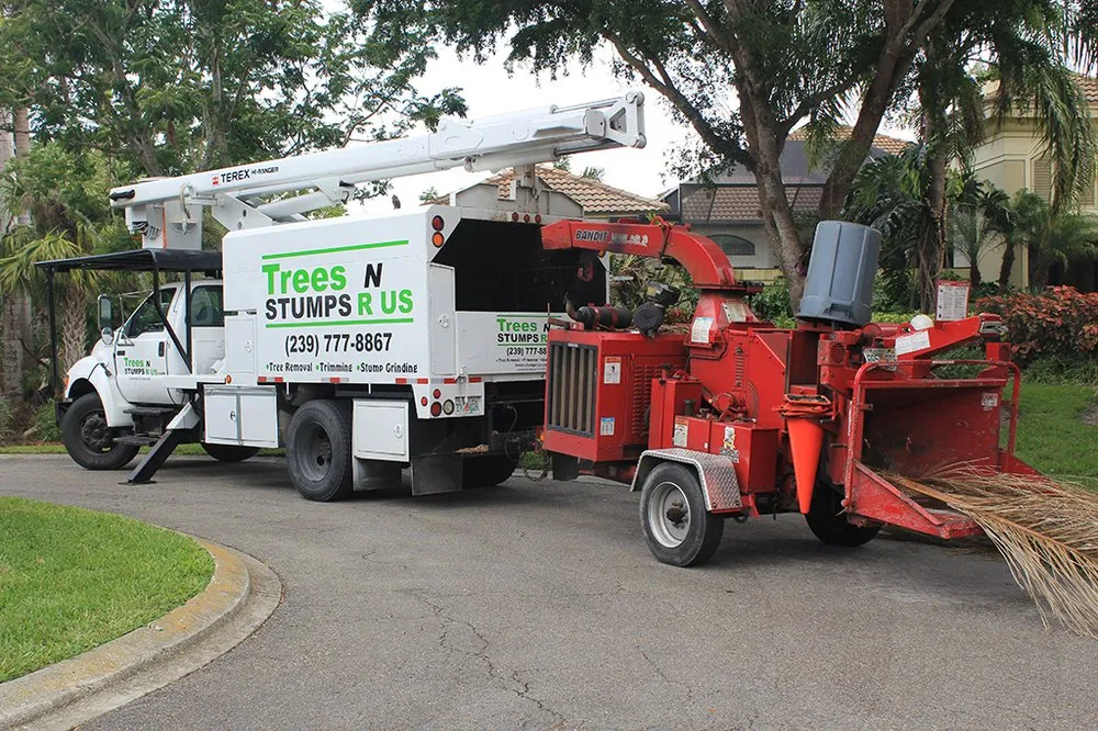 Expert landscape installation in Naples, FL by Trees N Stumps R Us