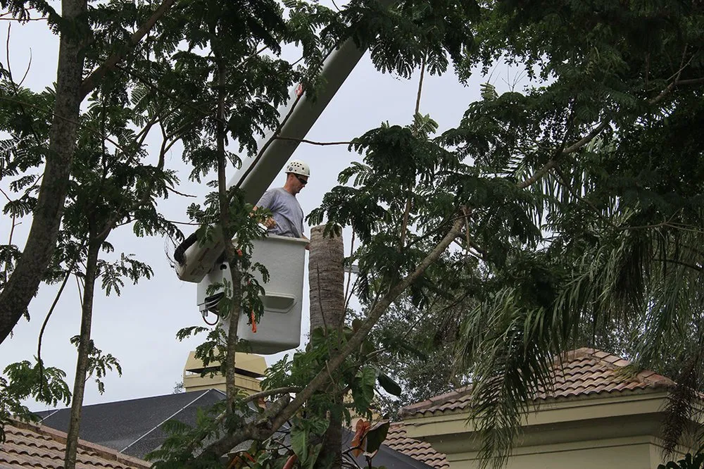 Top-rated residential landscaping for outdoor upgrades across Naples, FL - Trees N Stumps R Us