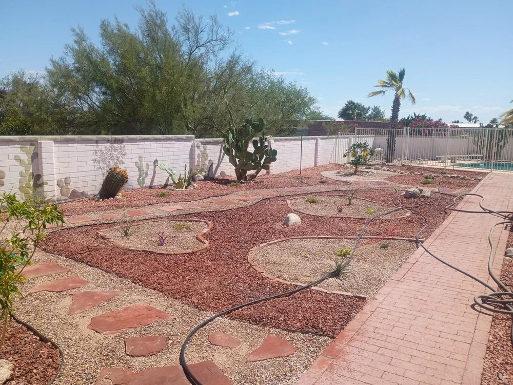 Affordable yard cleanup service in Tucson, AZ - Trees-N-Things