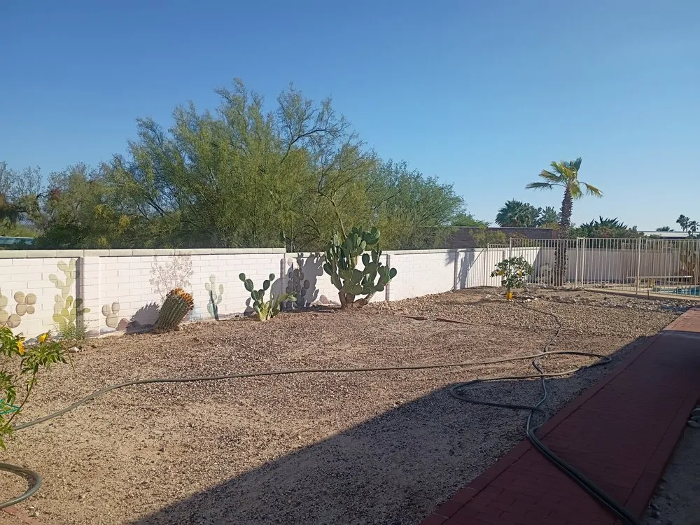 Professional landscape installation with custom design across Tucson, AZ - Trees-N-Things