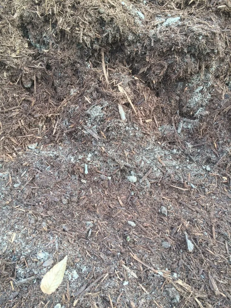 Professional residential landscaping for outdoor upgrades in Bellaire, MI by Trees North Outdoor Maintenance