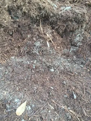 Trees North Outdoor Maintenance