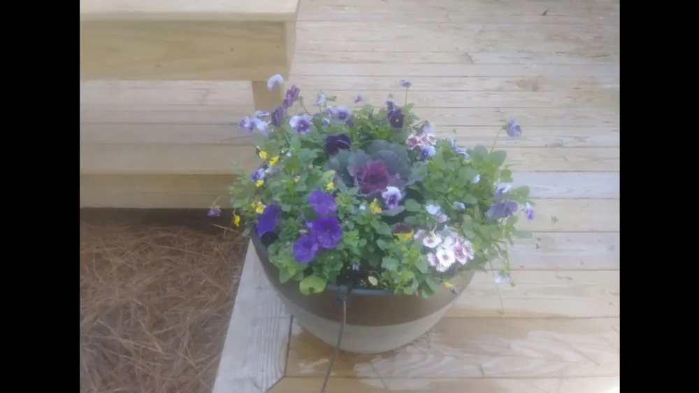 Local residential landscaping near you across Beaufort, SC - Trees of Paradise